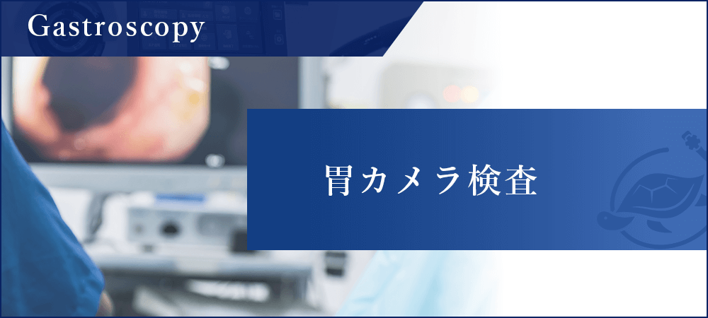 胃カメラ検査