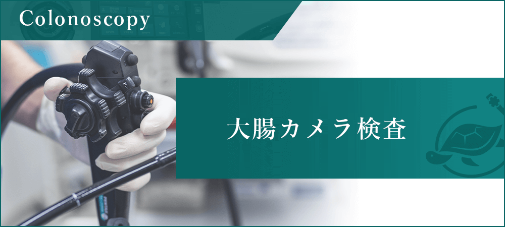 大腸カメラ検査