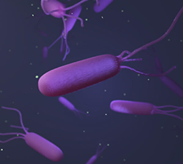 ピロリ菌除菌で減少する胃がんの発生率