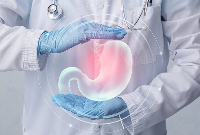 胃と十二指腸イメージ
